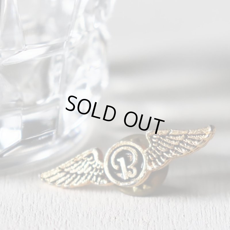 USAアドバタイジングピンバッジ両翼ウィング航空エアラインピンズ