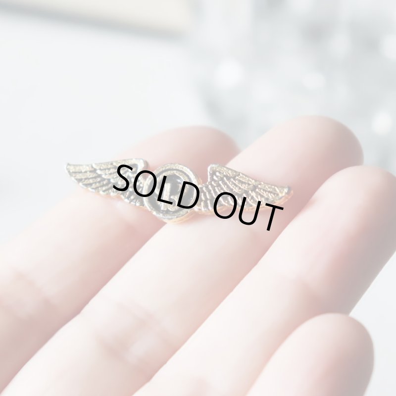 USAアドバタイジングピンバッジ両翼ウィング航空エアラインピンズ