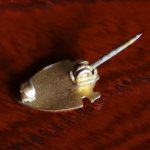 画像4: USAヴィンテージクリスチャンブローチ白｜キリスト教ピンバッジ十字架・ランプ (4)