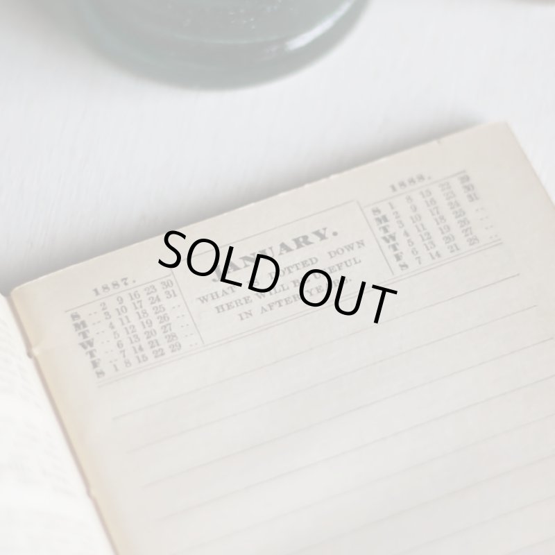 画像10: USAアンティーク紙ものノートブックレット1887年｜Pierce's医療と健康の覚書帳簿 (10)