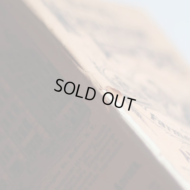 画像6: USAアンティーク紙ものノートブックレット1887年｜Pierce's医療と健康の覚書帳簿 (6)