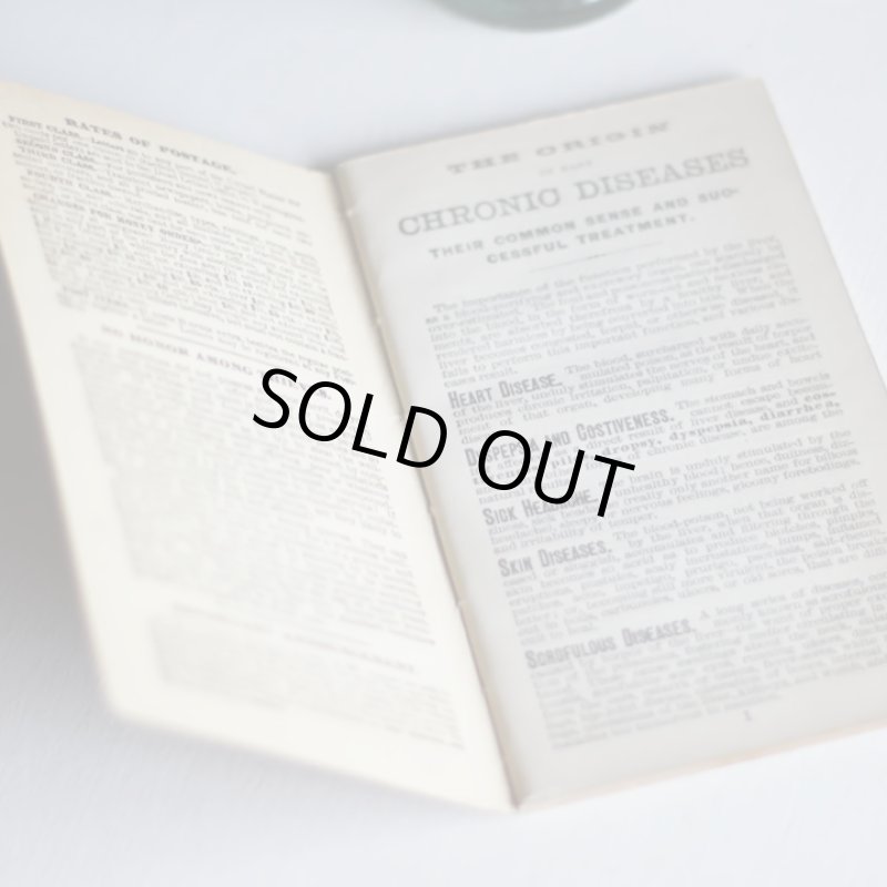 画像8: USAアンティーク紙ものノートブックレット1887年｜Pierce's医療と健康の覚書帳簿 (8)