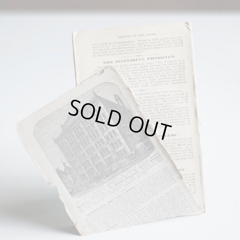 画像3: USAアンティーク紙もの女性用ノートブックレット1882年|メモ帳&カレンダー (3)