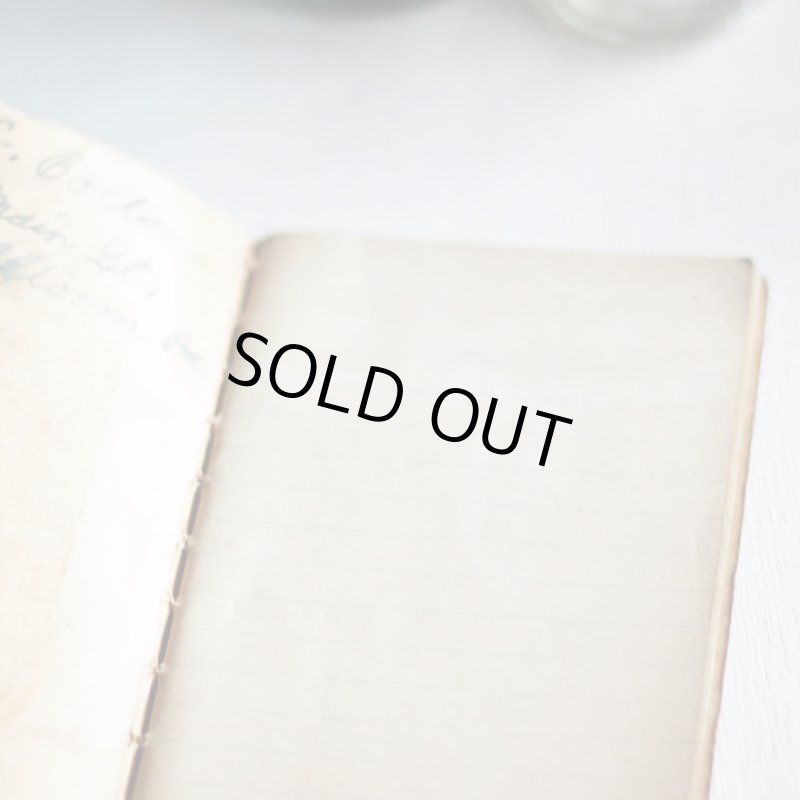 画像12: USAヴィンテージ紙ものメモ帳ノートブック｜WEBSTER dictionary note book (12)