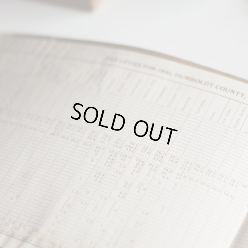 画像7: USAヴィンテージ紙もの財務報告書ブックレット1930年｜financial report humboldt county (7)