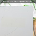 USAヴィンテージクラシックカーショーダッシュボードプラークW.S.R.A. Corn Roast Car Show 1999|アメリカン看板