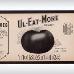 アンティーク紙ものエフェメラ｜USAヴィンテージトマト缶ラベル印刷UL EAT MORE TOMATOES