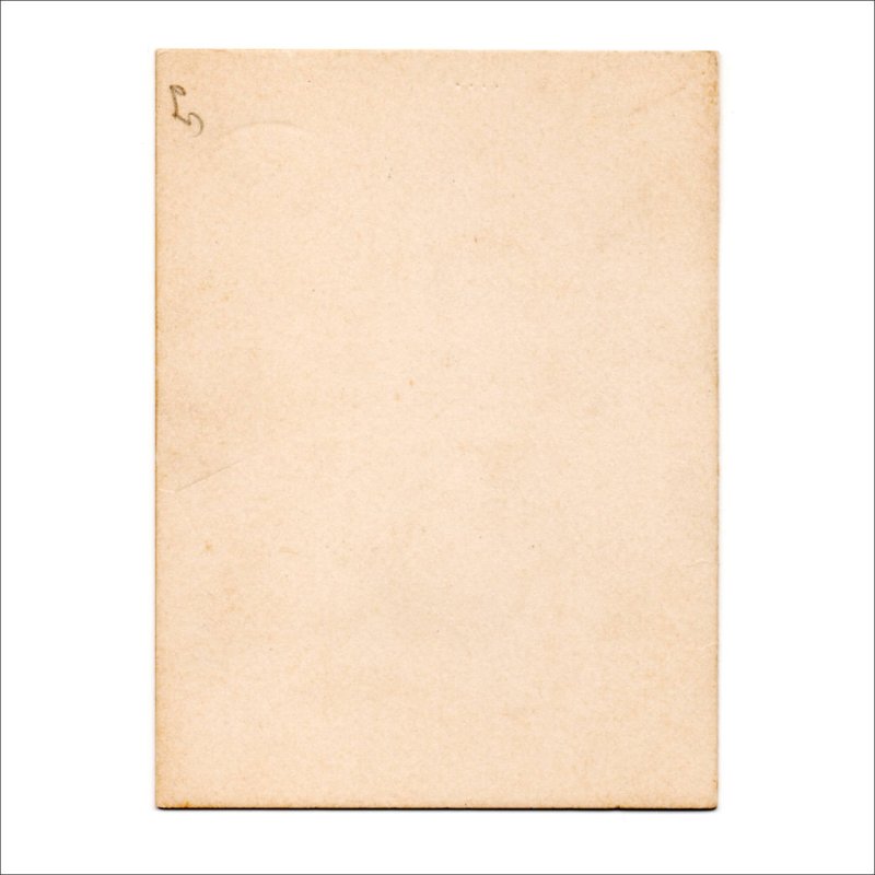 USAヴィンテージ1950年代紙ものクリスマスカード|ブルーバード(るりつぐみ)と冬景色アンティークグリーティング