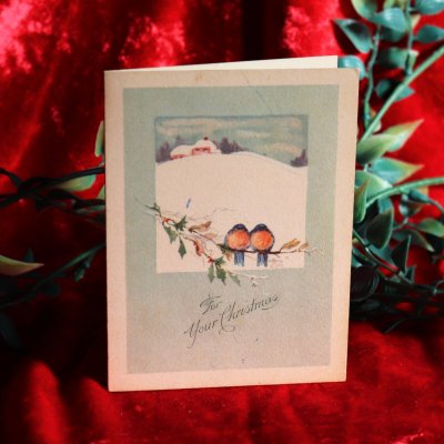 画像1: USAヴィンテージ1950年代紙ものクリスマスカード｜ブルーバード（るりつぐみ）と冬景色アンティークグリーティング