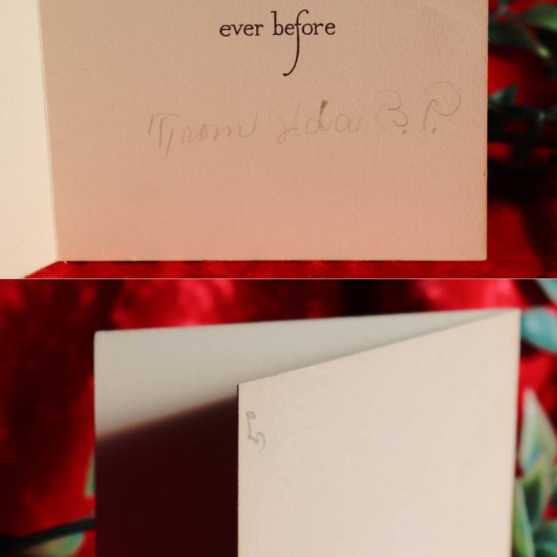 USAヴィンテージ1950年代紙ものクリスマスカード|ブルーバード(るりつぐみ)と冬景色アンティークグリーティング