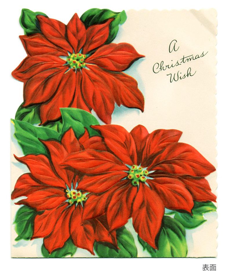 USAヴィンテージ1950年代紙ものクリスマスカード｜ポインセチア・christmas wishアンティークポストカード